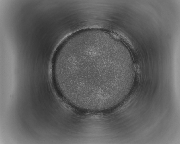 X0000112380676200908271320