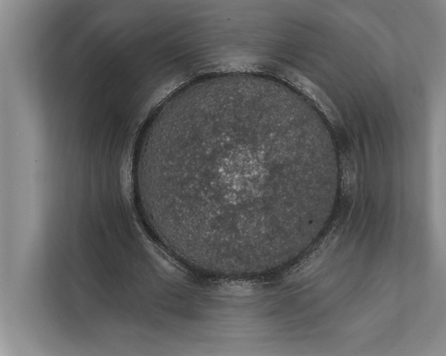 X0000112380677200908271320