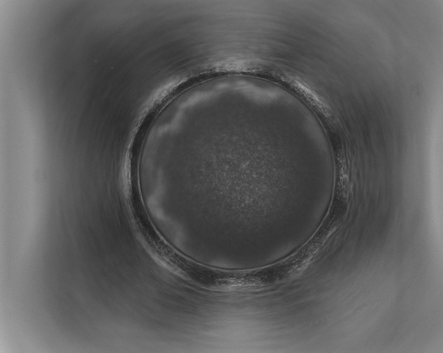 X0000112380678200908271320