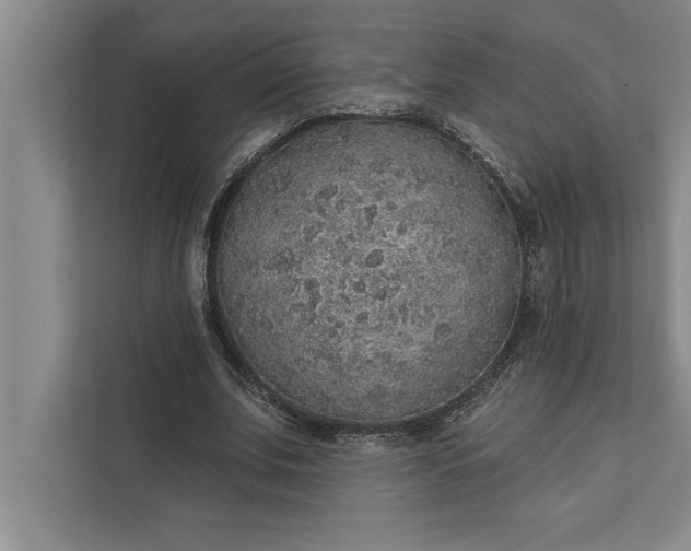 X0000112380679200908271320