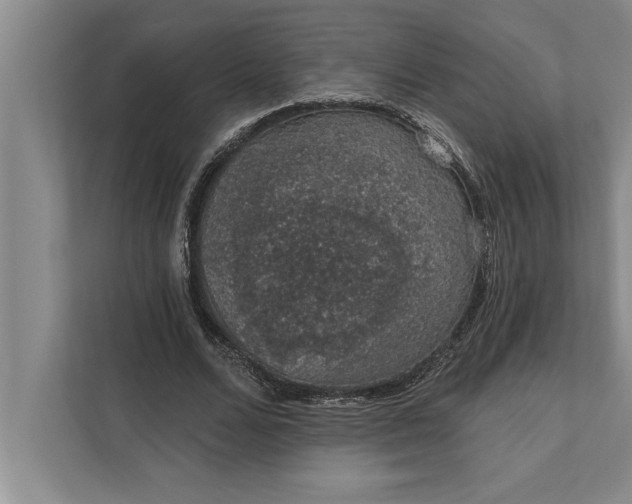 X0000112380680200908271320