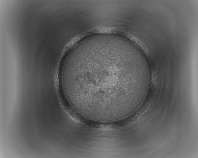 X0000112380682200908271320