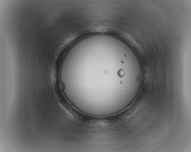 X0000112380683200908271320