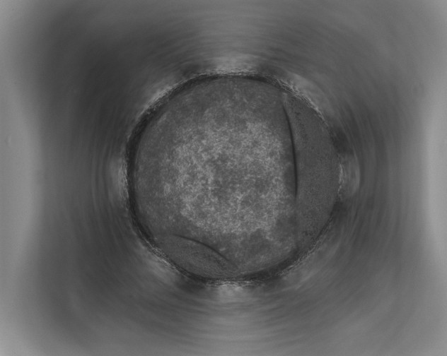 X0000112380684200908271320