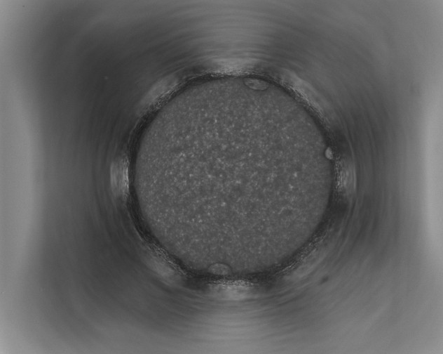 X0000112380685200908271320