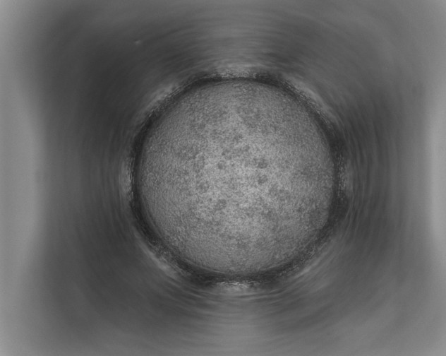 X0000112380687200908271320