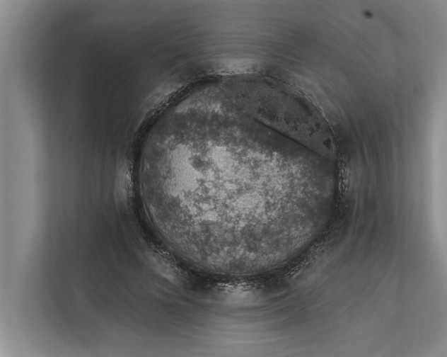 X0000112380688200908271320