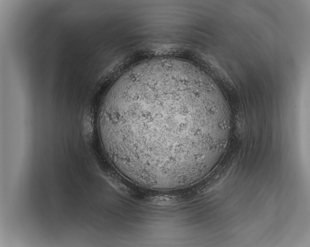 X0000112380691200908271320