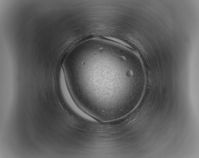 X0000112380693200908271320