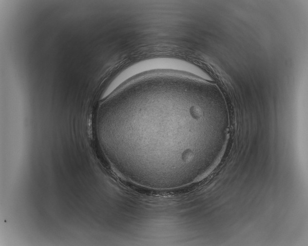 X0000112380696200908271320