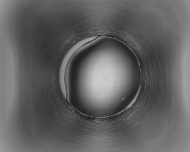 X0000112380697200908271320