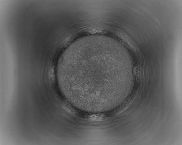 X0000112380700200908271320