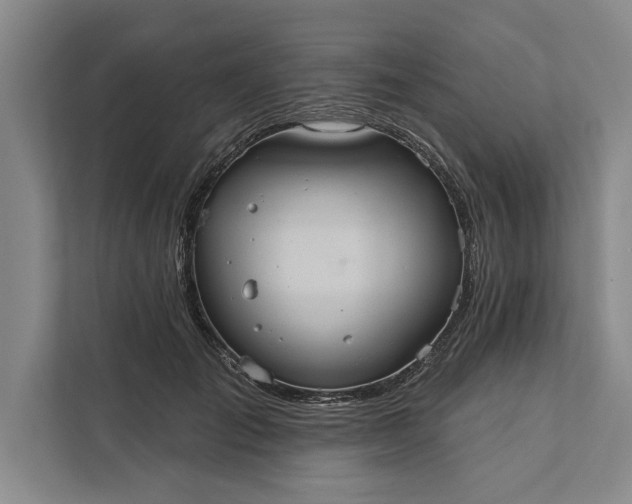 X0000112380701200908271320