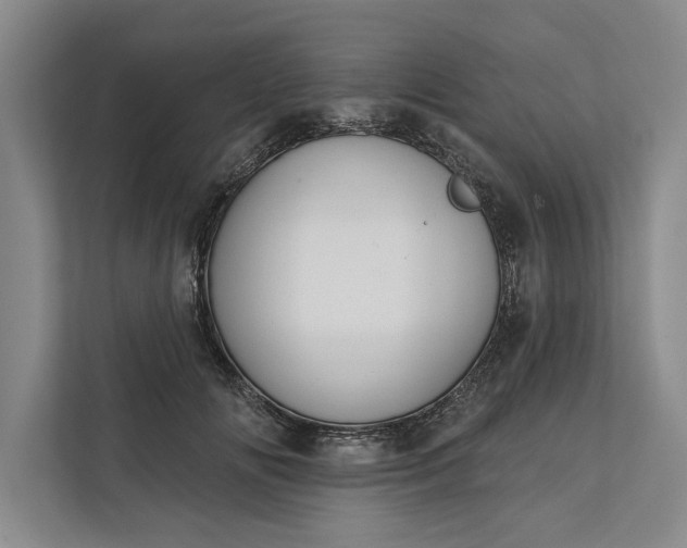 X0000112380702200908271320