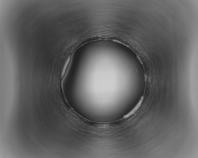 X0000112380705200908271320