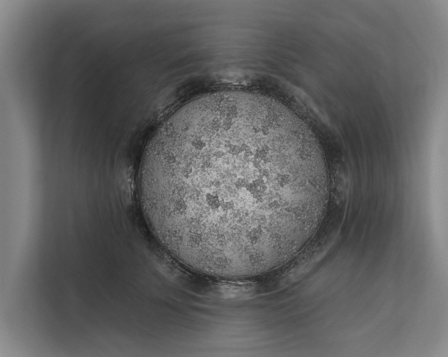 X0000112380707200908271320