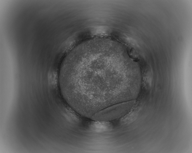 X0000112380708200908271320