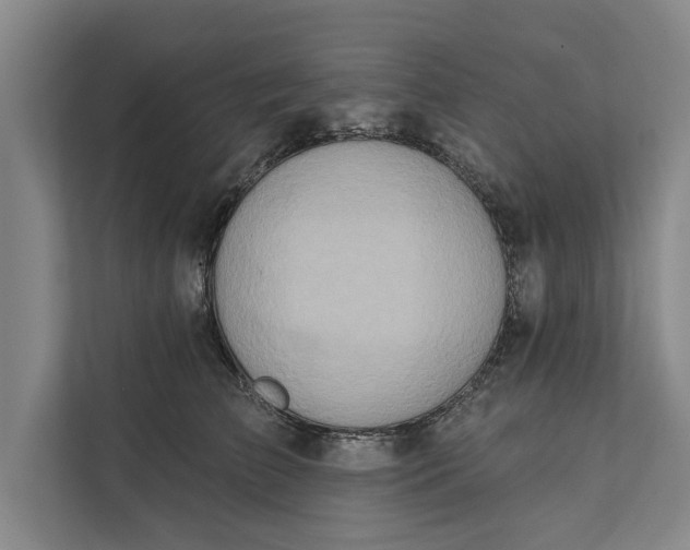 X0000112380709200908271320