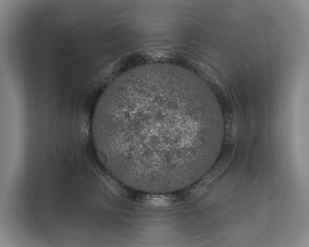 X0000112380710200908271320