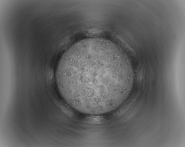 X0000112380711200908271320