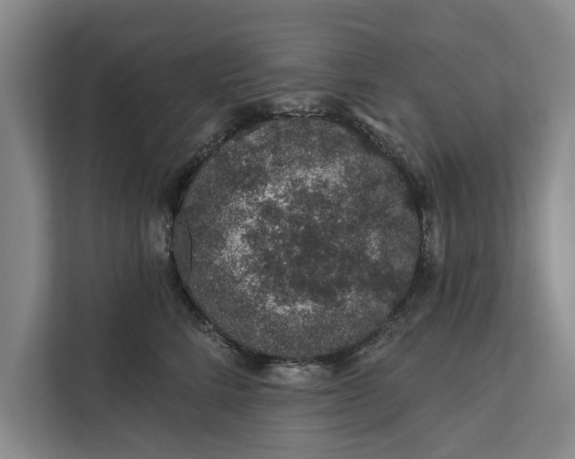 X0000112380712200908271320