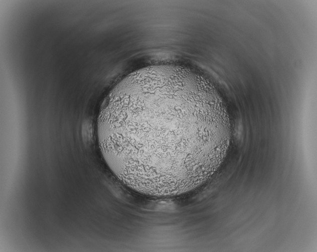 X0000112380715200908271320