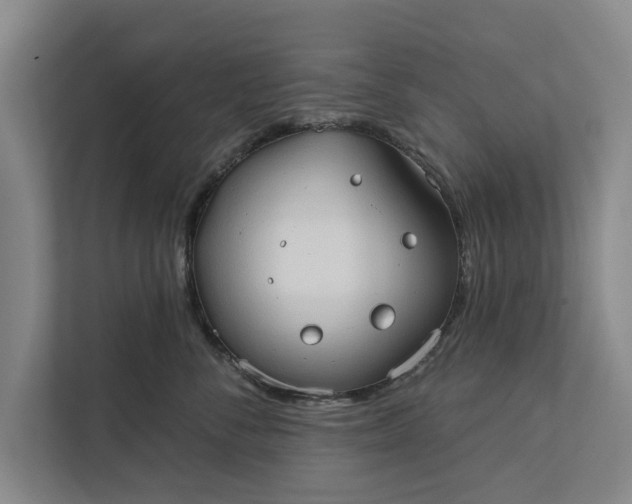 X0000112380716200908271320