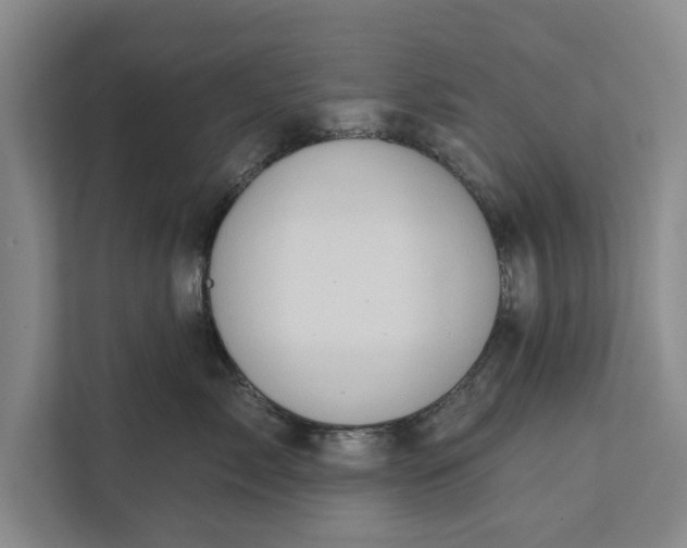 X0000112380717200908271320