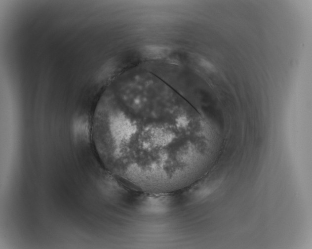 X0000112380720200908271319