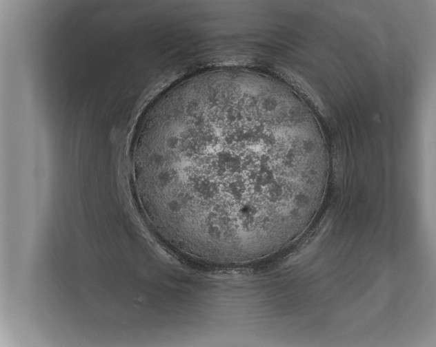 X0000112380721200908271319