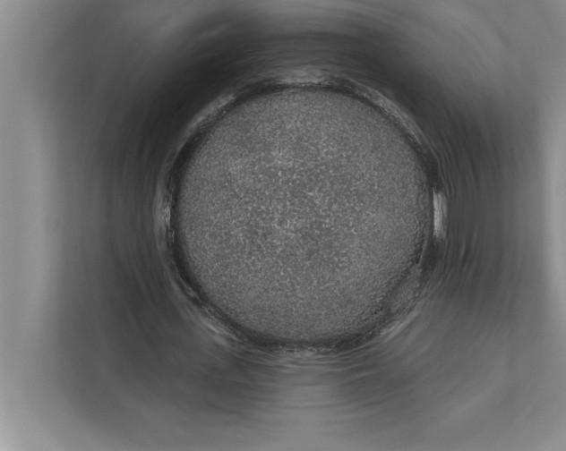 X0000112380723200908271319