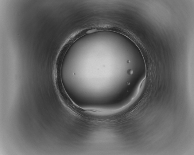 X0000112380726200908271319