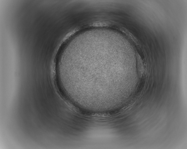 X0000112380727200908271319