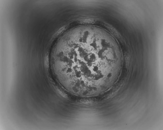 X0000112380729200908271319