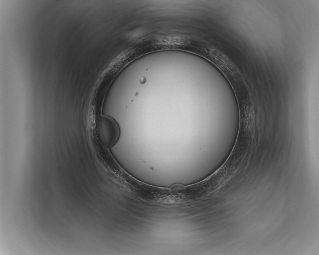 X0000112380731200908271319