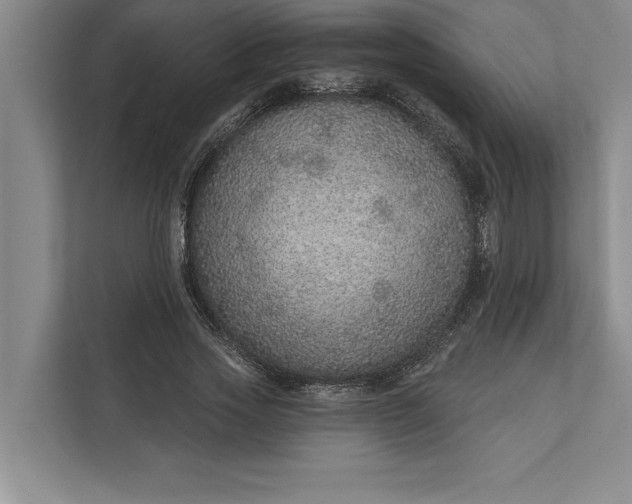 X0000112380733200908271319