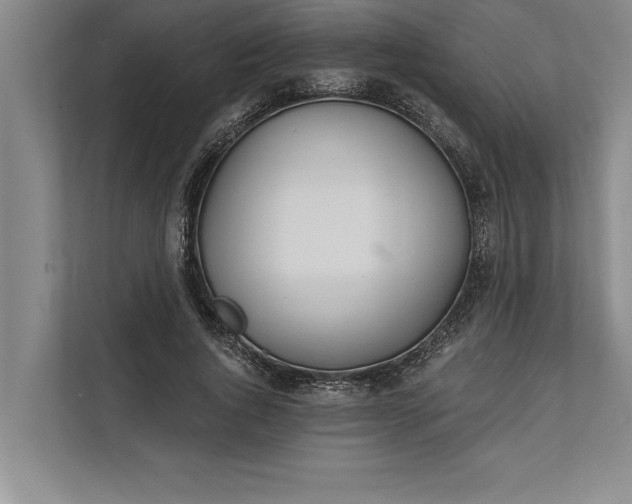 X0000112380736200908271319