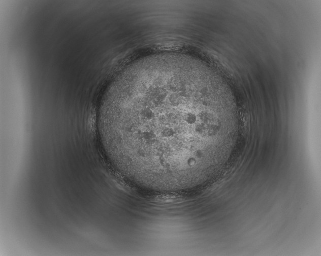 X0000112380745200908271319