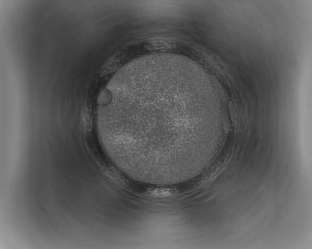 X0000112380751200908271319