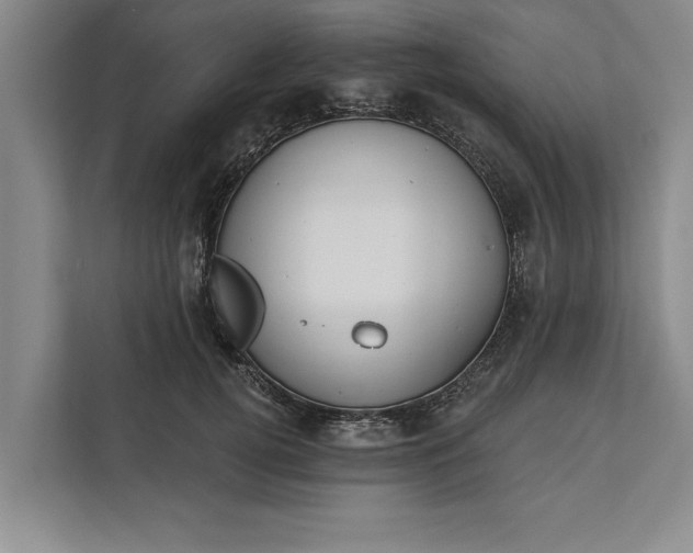 X0000112380752200908271319