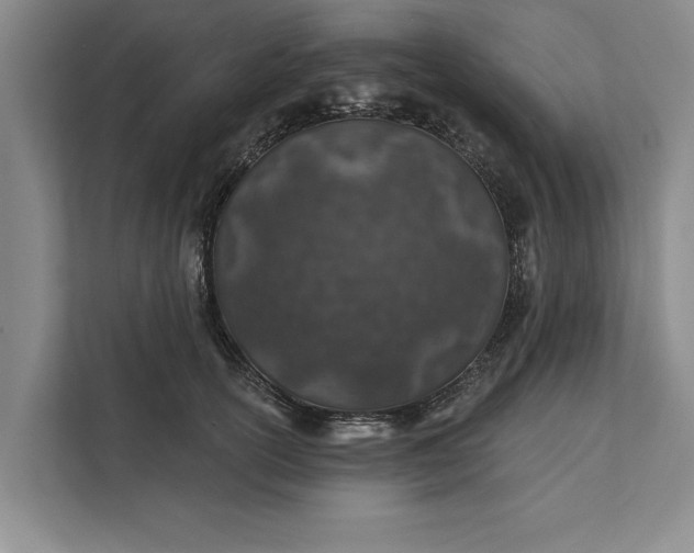 X0000112380754200908271319