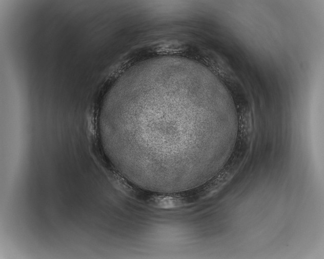 X0000112380755200908271319