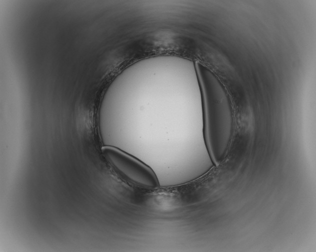 X0000112380756200908271319