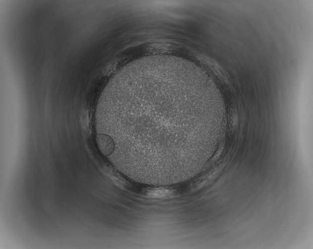 X0000112380759200908271319