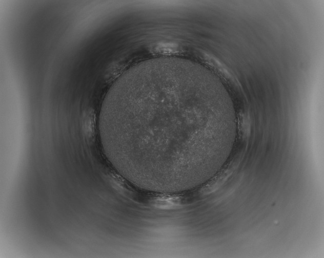 X0000112380760200908271319