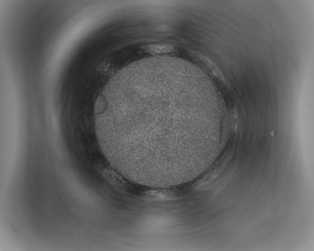 X0000112380763200908271319