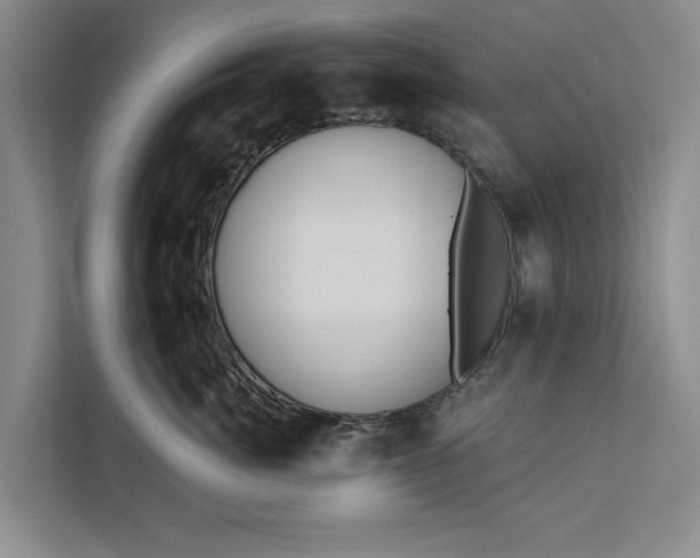 X0000112380764200908271319