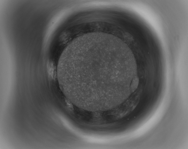 X0000112380766200908271319