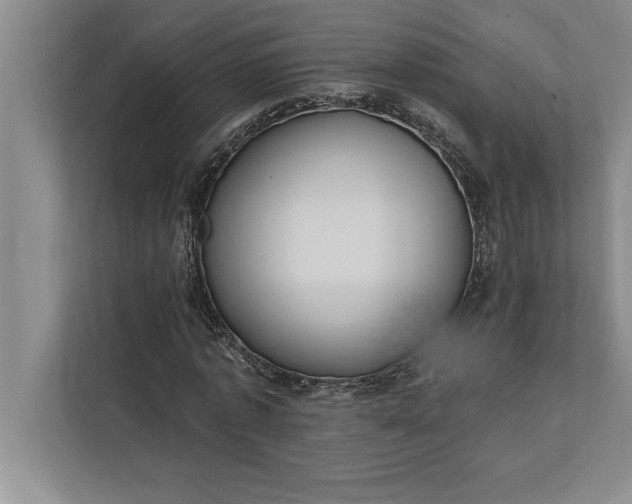 X0000112380773200908271319