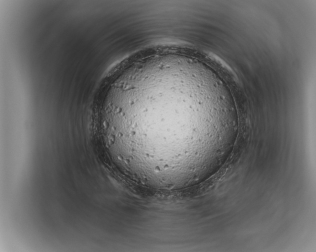 X0000112380775200908271319